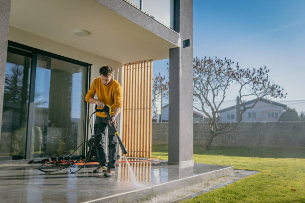 Best Solar Panel Cleaning  in Agua Dulce, TX