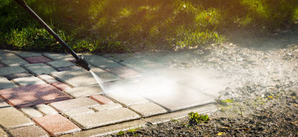 Reliable Agua Dulce, TX  Pressure Washing Services Solutions