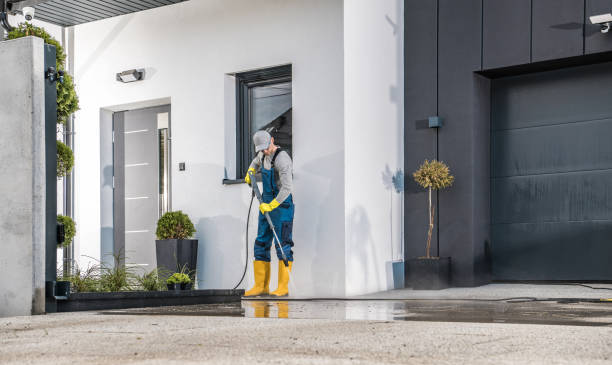 Best Warehouse Cleaning  in Agua Dulce, TX